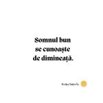 Ovidiu Tudor la e vremea mea